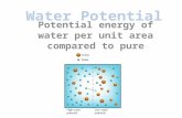 Water Potential Potential energy of water per unit area compared to pure water.