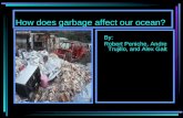 How does garbage affect our ocean? By: Robert Peniche, Andre Trujillo, and Alex Galt.