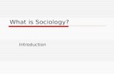 What is Sociology? Introduction. Outline  What does society look like?  What is sociology?  Levels of Analysis  The Sociological Perspective.