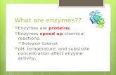 What are enzymes??  Enzymes are proteins.  Enzymes speed up chemical reactions.  Biological Catalyst  pH, temperature, and substrate concentration.