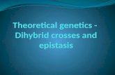 Theoretical genetics Learning objectives Success criteria Understand the basics of theoretical genetics Describe the interactions between loci (epistasis).