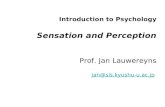 Introduction to Psychology Sensation and Perception Prof. Jan Lauwereyns