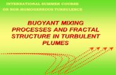 BUOYANT MIXING PROCESSES AND FRACTAL STRUCTURE IN TURBULENT PLUMES INTERNATIONAL SUMMER COURSE ON NON-HOMOGENEOUS TURBULENCE.