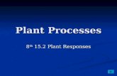 Plant Processes 8 th 15.2 Plant Responses. Plant Responses Tropism – response of a plant to an outside stimulus Tropism – response of a plant to an outside.