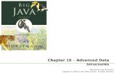 Big Java by Cay Horstmann Copyright © 2009 by John Wiley & Sons. All rights reserved. Chapter 16 – Advanced Data Structures.