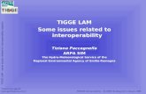 TIGGE LAM – some issues related to interoperability aspects Tiziana Paccagnella Interoperability – ECMWF Reading 14-15 January.