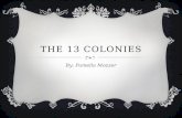 THE 13 COLONIES By: Pamella Mozzer. THE SOUTHERN COLONIES.