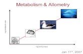Metabolism & Allometry log metabolic rate log body mass Jan 11 th, 2007.