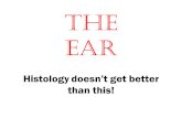 The Ear Histology doesn’t get better than this!. Anatomy of the Ear.