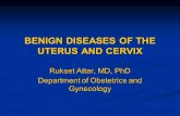 BENIGN DISEASES OF THE UTERUS AND CERVIX Rukset Attar, MD, PhD Department of Obstetrics and Gynecology.