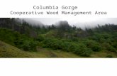 Columbia Gorge Cooperative Weed Management Area. Plant Communities Wildlife habitat Water resources Fisheries Recreation Natural processes Invasive Plant.