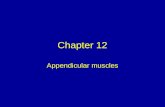 Chapter 12 Appendicular muscles. Upper limb muscles to know and identify Shoulder: Deltoid (sometimes referred as axial muscle). Upper arm (brachium):
