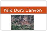 Palo Duro Canyon.  Located just outside of Amarillo, Palo Duro Canyon is often called the Grand Canyon of Texas and is the second largest canyon in the.