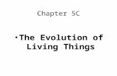 Chapter 5C The Evolution of Living Things. Change Over Time….. Adaptation – a change that helps an organism survive and reproduce in its environment.
