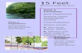 15 Feet : Minimum Width for Zone 1 Zone 1 Functions: Bank Stabilization Shading (water temperature control) Flood Protection Stream Inputs: Structural.