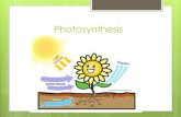 Photosynthesis. Energy and Life  Autotroph: organisms that make their own food  Heterotrophs: organisms that obtain energy from the foods they consume.