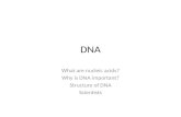 DNA What are nucleic acids? Why is DNA important? Structure of DNA Scientists