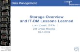 CERN IT Department CH-1211 Genève 23 Switzerland  t Storage Overview and IT-DM Lessons Learned Luca Canali, IT-DM DM Group Meeting 10-3-2009.