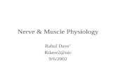 Nerve & Muscle Physiology Rahul Dave’ 9/6/2002.