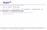 1 of x AS/A-LEVEL BIOLOGY 3.3.4.2 Transport of organic compounds in plants - translocation To be used alongside AQA AS/A-level Biology transport of organic.
