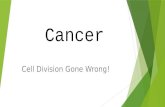 Cancer Cell Division Gone Wrong!. Cancer is not just one disease, but many diseases – over 200 different types of cancers.