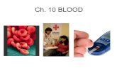 Ch. 10 BLOOD. PHLEBOTOMIST person trained to draw blood from a patient for clinical or medical testing, transfusions, donations, or research.