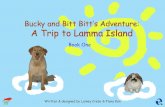 Bucky and Bitt Bitt’s Adventure: A Trip to Lamma Island Written & designed by Lainey Crebo & Fiona Kan Book One