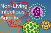 Non-Living Infectious Agents Viruses