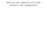 Why do we organize all of the species into categories?