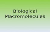 Biological Macromolecules. About Macromolecules Macro = big Polymer = another word for macromolecule Monomer = small molecules that make up polymers (subunit)