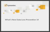What’s New Data Loss Prevention 14. Information is Everywhere Brings Productivity, Agility, Convenience ……and Problems Copyright © 2015 Symantec Corporation.