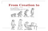 From Creation to Civilization. “The Family Tree”