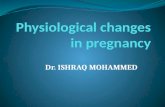 Dr. ISHRAQ MOHAMMED. Early pregnancy In early pregnancy, the developing fetus, corpus luteum and placenta produce and release increasing quantities of.