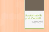 Sustainability at Cornell By Andres Zapata and Amanda Saxe.