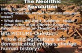 The Neolithic Revolution Detail Questions: What does the Phrase “Cultural diffusion” mean? What does the word “Neolithic” Mean? What is the main different.