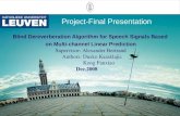 Project-Final Presentation Blind Dereverberation Algorithm for Speech Signals Based on Multi-channel Linear Prediction Supervisor: Alexander Bertrand Authors: