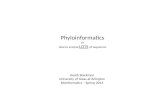 Phyloinformatics or How to analyze LOTS of sequences Heath Blackmon University of Texas at Arlington Bioinformatics – Spring 2014.