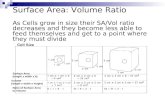 Cell Size Surface Area (length x width x 6) Volume (length x width x height) Ratio of Surface Area to Volume Surface Area: Volume Ratio As Cells grow in.
