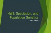 HWE, Speciation, and Population Genetics 11-19-15 SI Session.