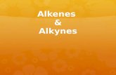 Alkenes & Alkynes. Alkenes  Hydrocarbons containing double bonds.  General Formula: C n H 2n  They are unsaturated – the double bond is a reactive.