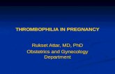 THROMBOPHILIA IN PREGNANCY Rukset Attar, MD, PhD Obstetrics and Gynecology Department.