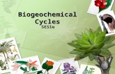 Biogeochemical Cycles SES1e. Recycling in the Biosphere VOCABULARY  Biogeochemical Cycles – Process in which elements, chemical compounds, and other.