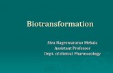 Biotransformation Biotransformation Siva Nageswararao Mekala Assistant Professor Dept. of clinical Pharmacology