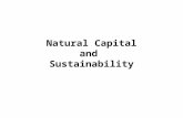 Natural Capital and Sustainability. Natural Capital includes the core and crust of the earth, the biosphere itself - teaming with forests, grasslands,