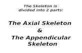 The Skeleton is divided into 2 parts: The Axial Skeleton & The Appendicular Skeleton.