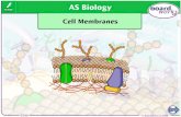 Boardworks AS Biology Cell Membranes