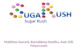 Sugar Rush Matthew Jourard, Kamaldeep Sandhu, Aver Gill, Freya Lewis.