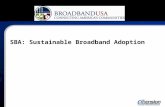 SBA: Sustainable Broadband Adoption Weekly Headlines to partners (email) Five Overall Purposes: 1.To preserve and create jobs and promote economic recovery.