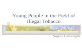 Young People in the Field of Illegal Tobacco Sophie Cartwright.