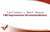 Cattlemen’s Beef Board CBB Improvement Recommendations.